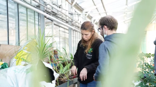 École d’Horticulture et de Paysage de Roville Aux Chênes