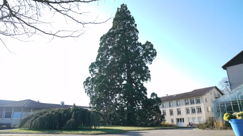 métiers de l’environnement et du cadre de vie