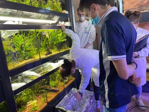 métiers de l’horticulture dans le Grand est