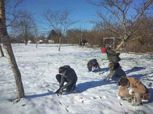 aménagements paysagers