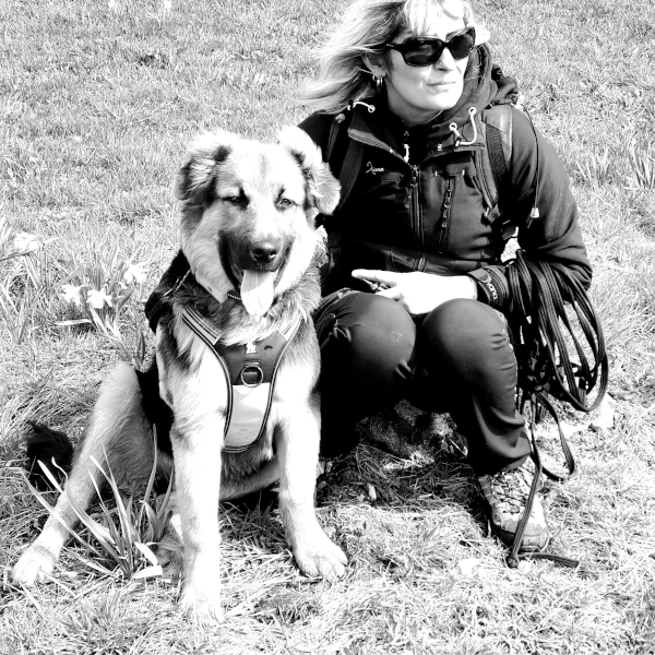 Comportementaliste canin félin Rambervillers