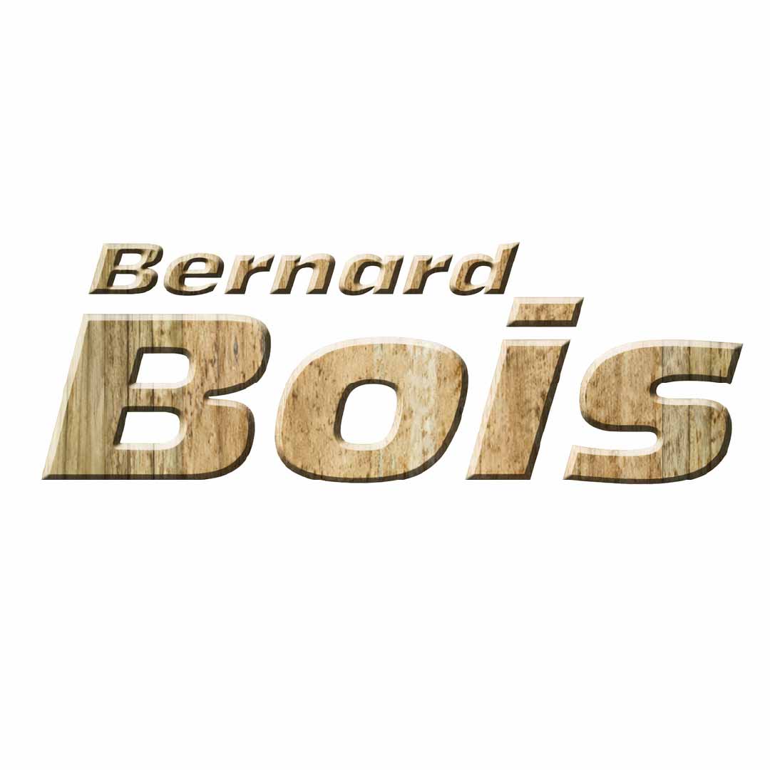 Logo BERNARD BOIS
