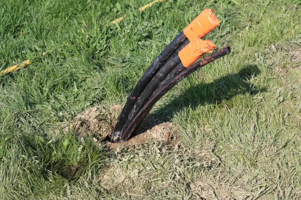 Forage injection bentonite